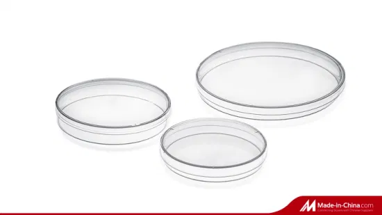 6 Wells Cell Culture Plate